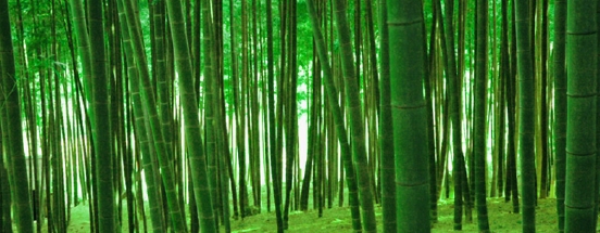 竹.jpg